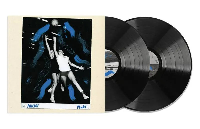 アナログLP Ptaki – Przelot Przelot 2LP – Klub Płytowy