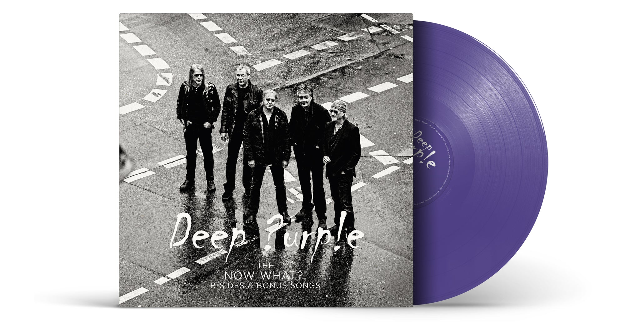 Extras The Now What B-Sides And Bonus Songs LP (Purple Winyl)