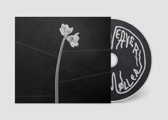 Dreamweaver CD