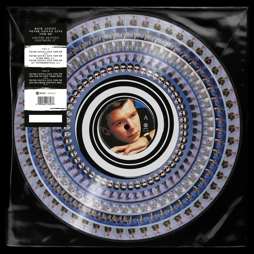 Never Gonna Give You Up LP (Picture Disc)
