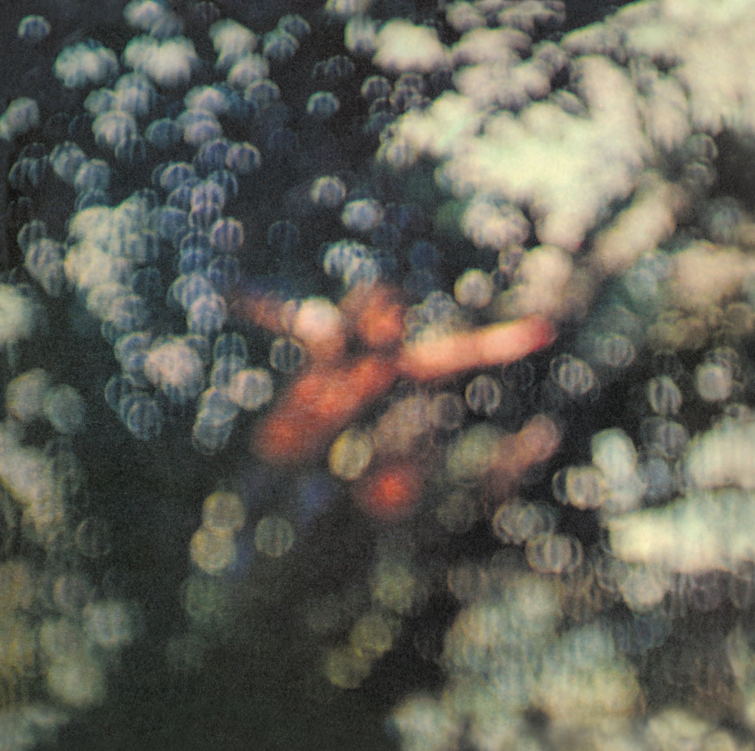 Obscured by Clouds CD
