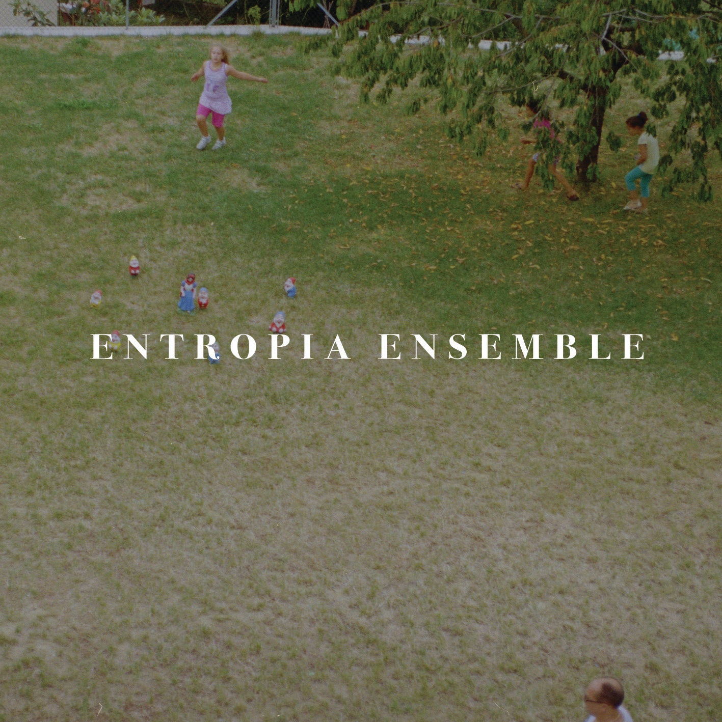 Entropia Ensemble CD