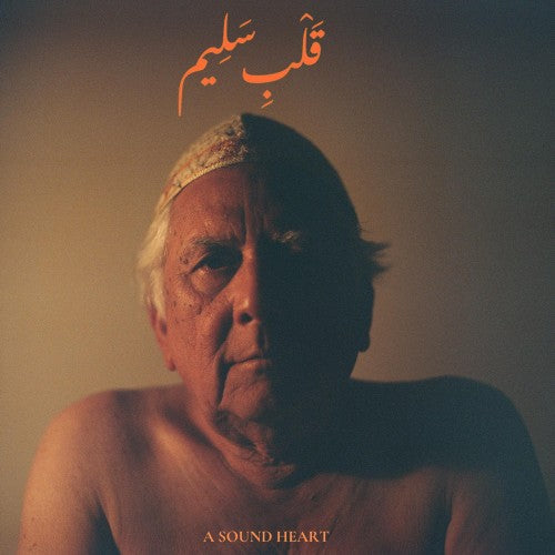 A Sound Heart 2LP