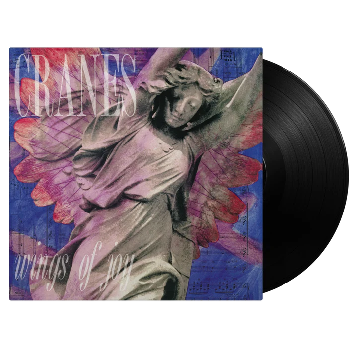 Wings Of Joy LP