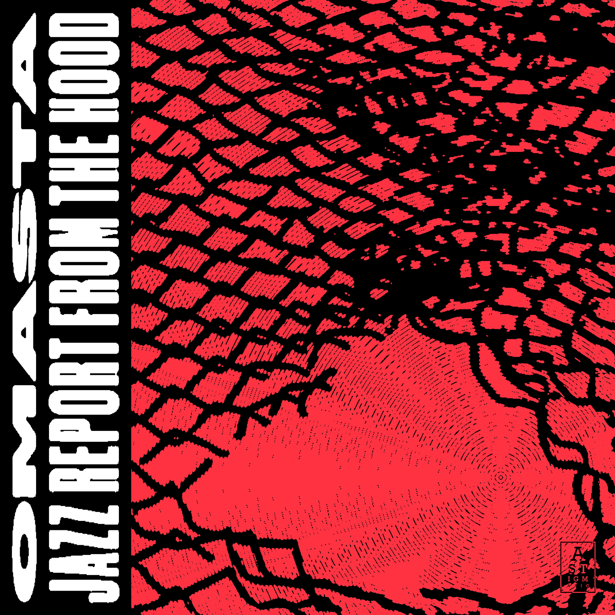 Jazz Report from the Hood - LP