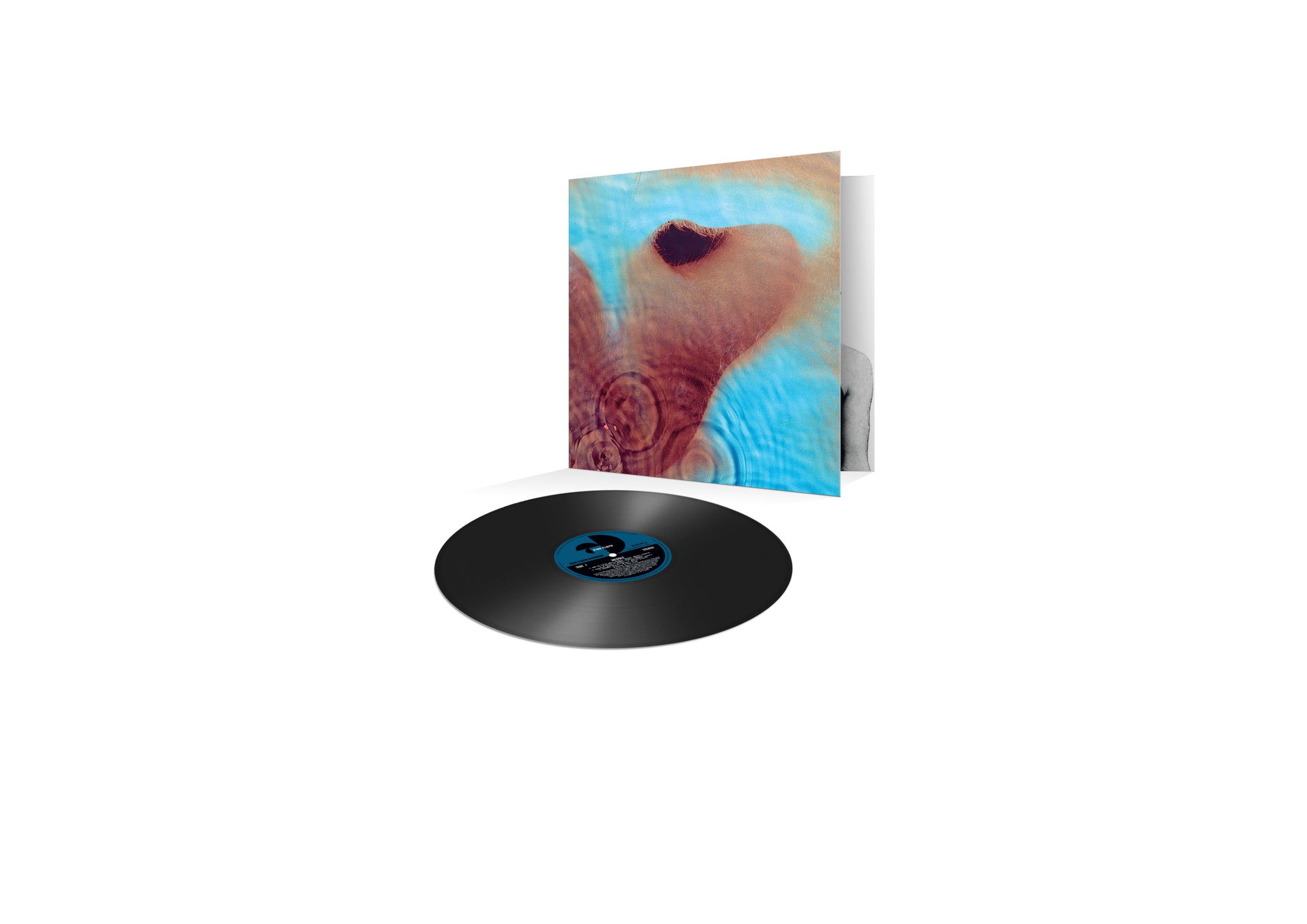 Meddle LP