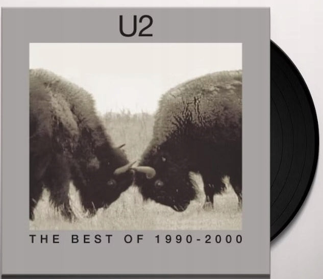The Best of 1990-2000 2LP