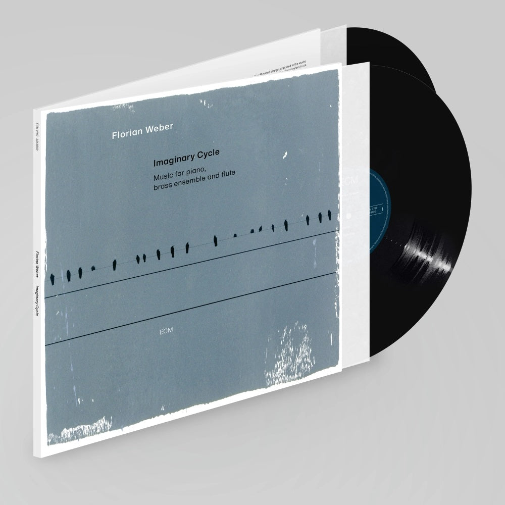 Imaginary Cycles 2LP