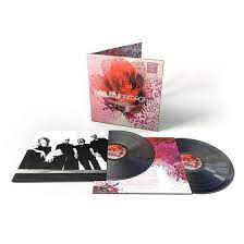 Beautiful Garbage 2LP