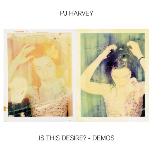 Is This Desire? - Demos LP