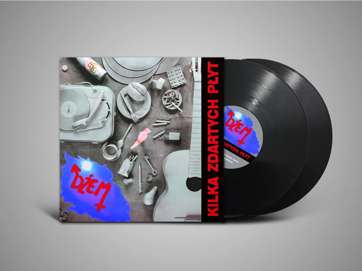 Kilka zdartych płyt 2LP