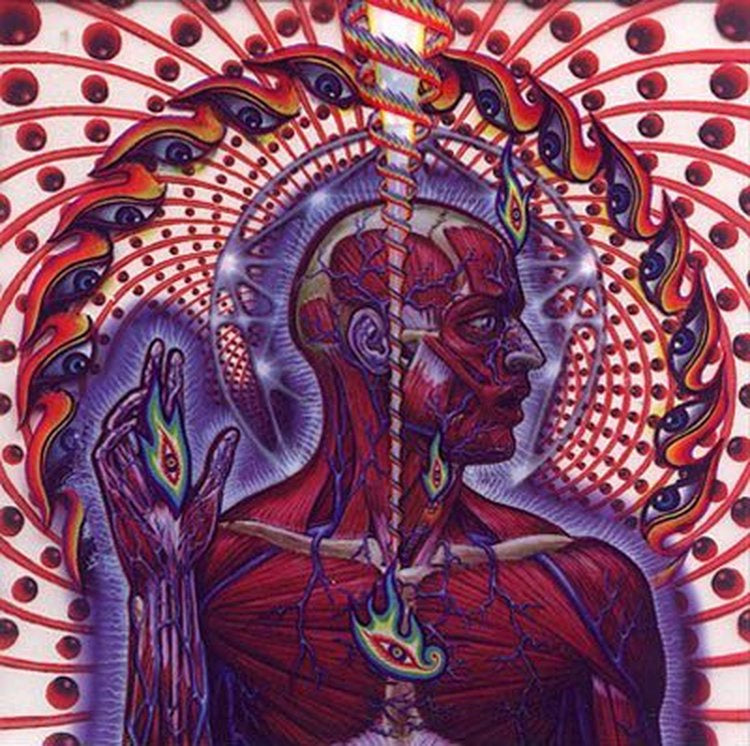 Lateralus CD – Klub Płytowy