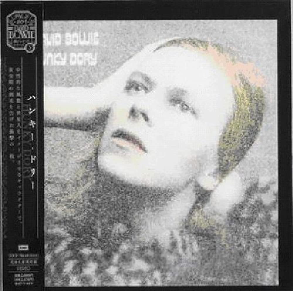 Hunky Dory